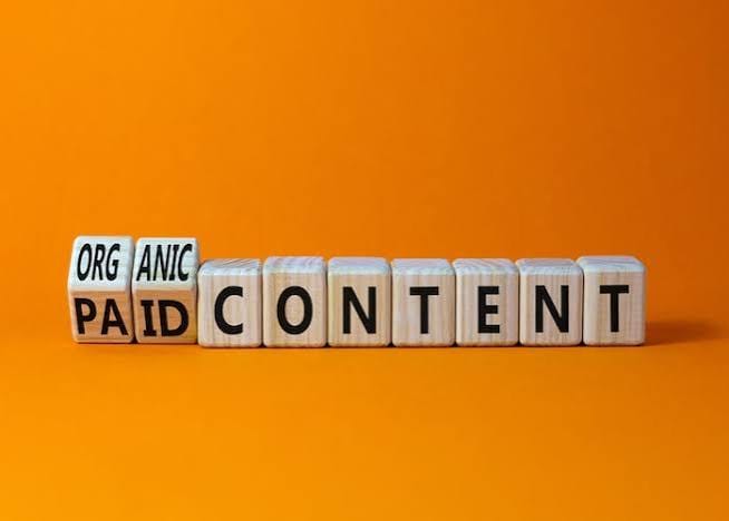 Social Media vs Paid Ads: Where Should Small Businesses Spend Time?